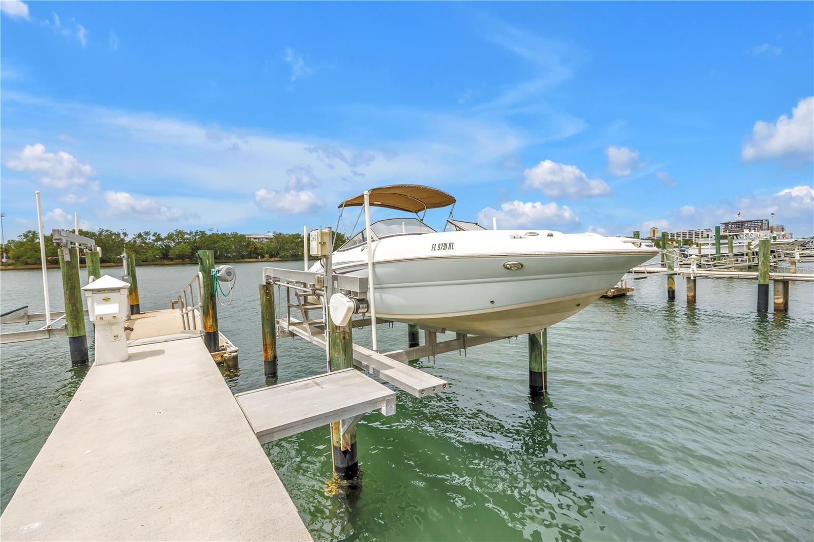 1133 ABBEYS WAY, TAMPA, FL, 33602