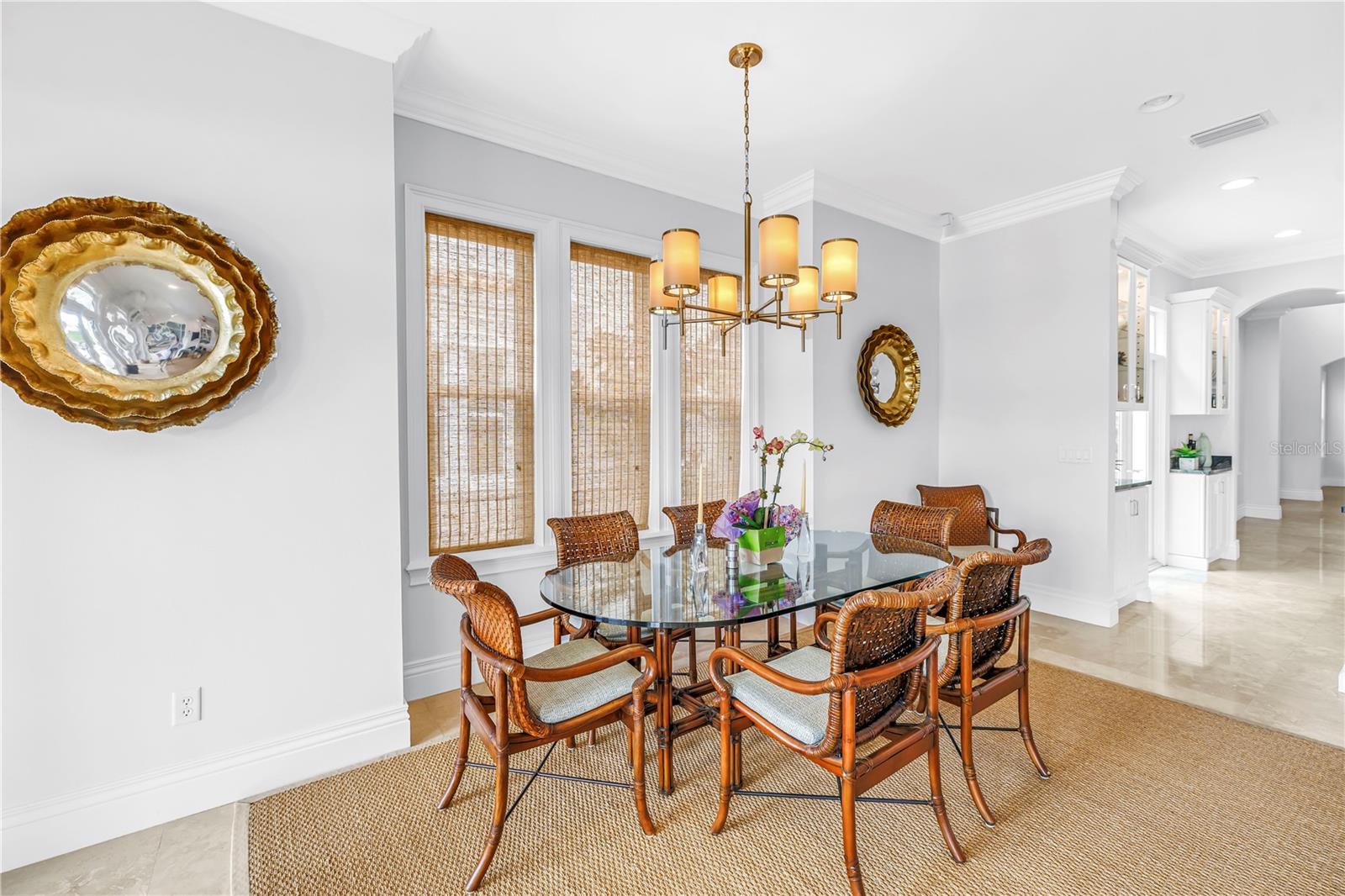 1133 ABBEYS WAY, TAMPA, FL, 33602