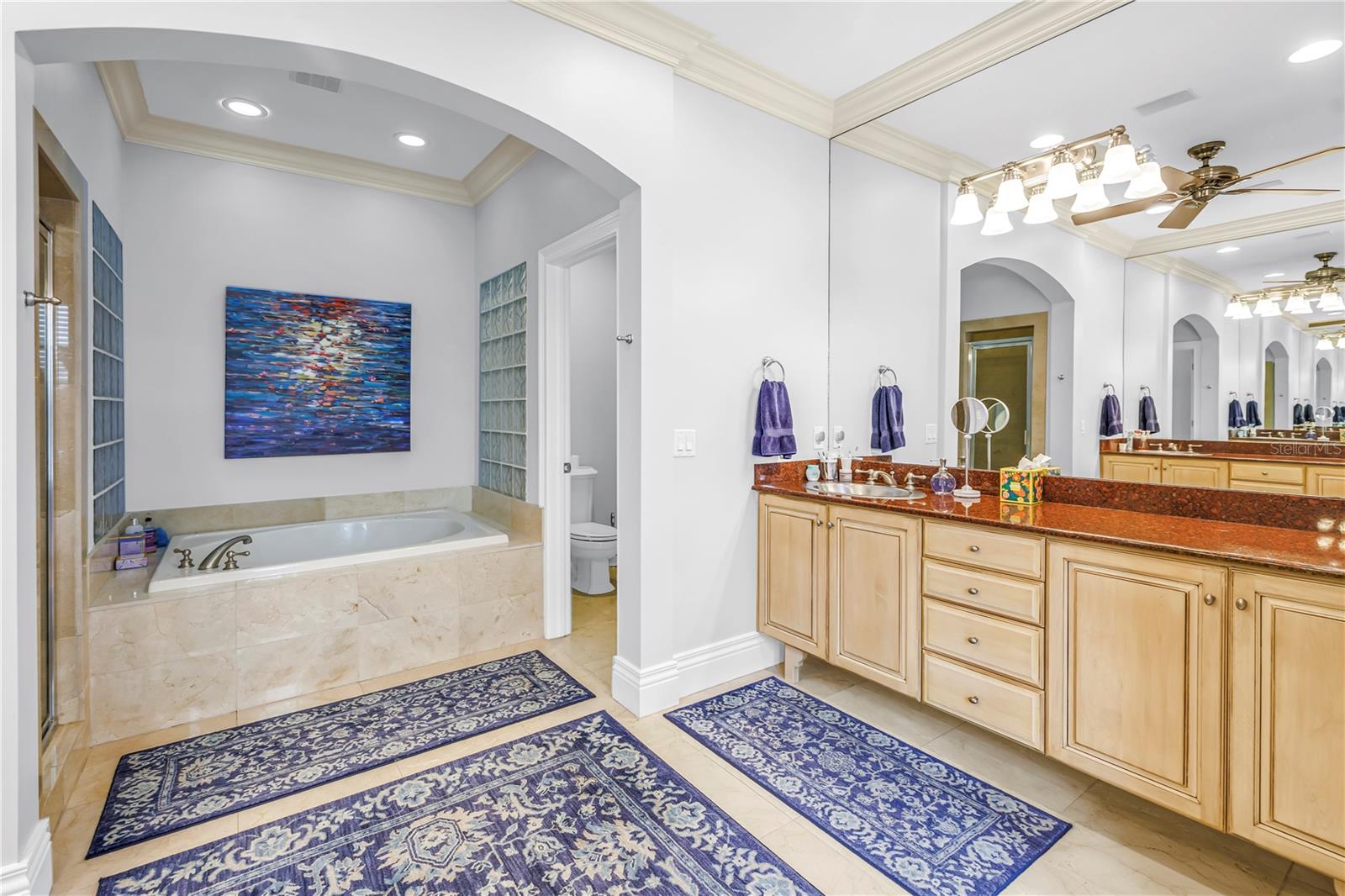 1133 ABBEYS WAY, TAMPA, FL, 33602