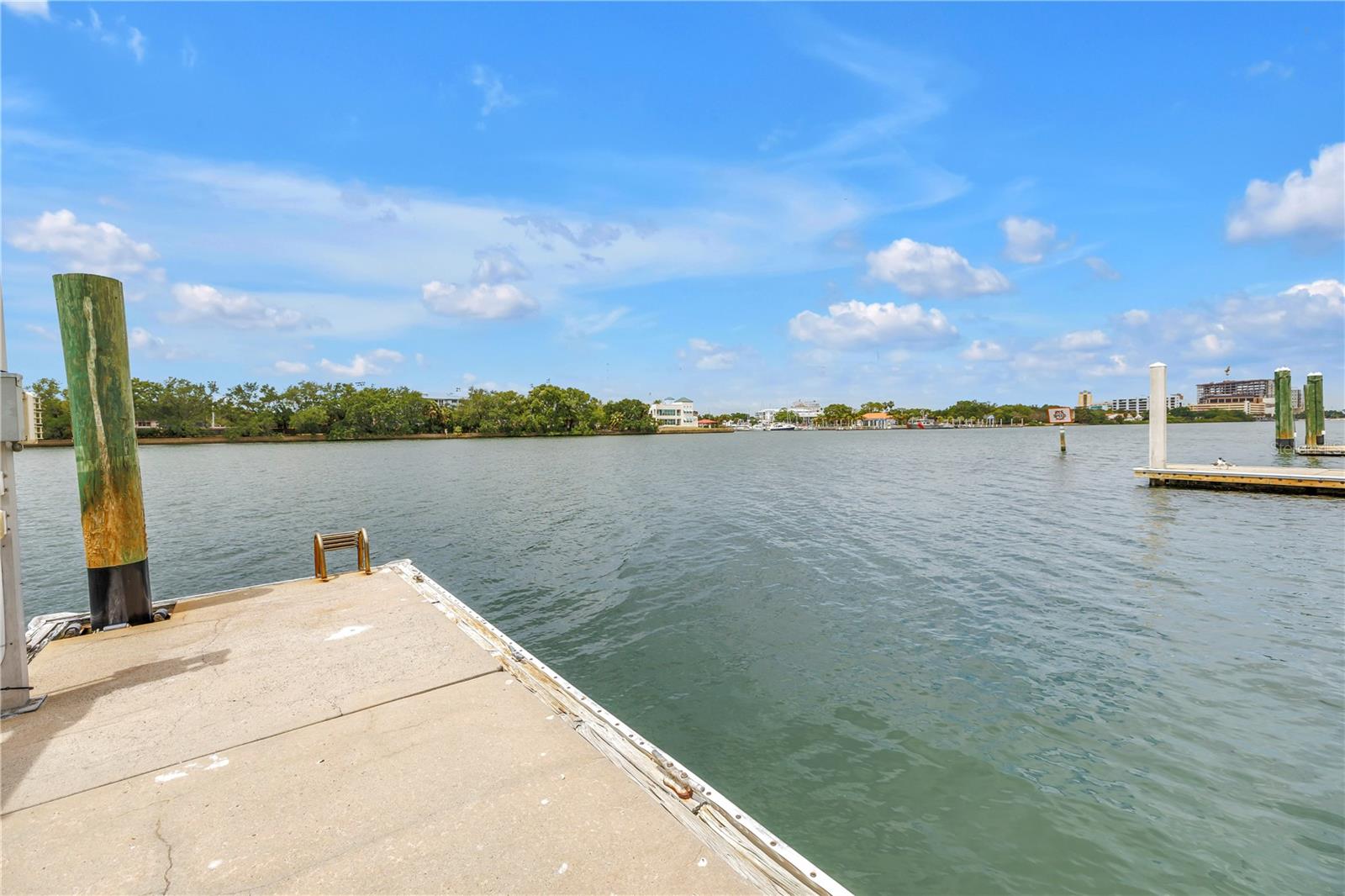 1133 ABBEYS WAY, TAMPA, FL, 33602