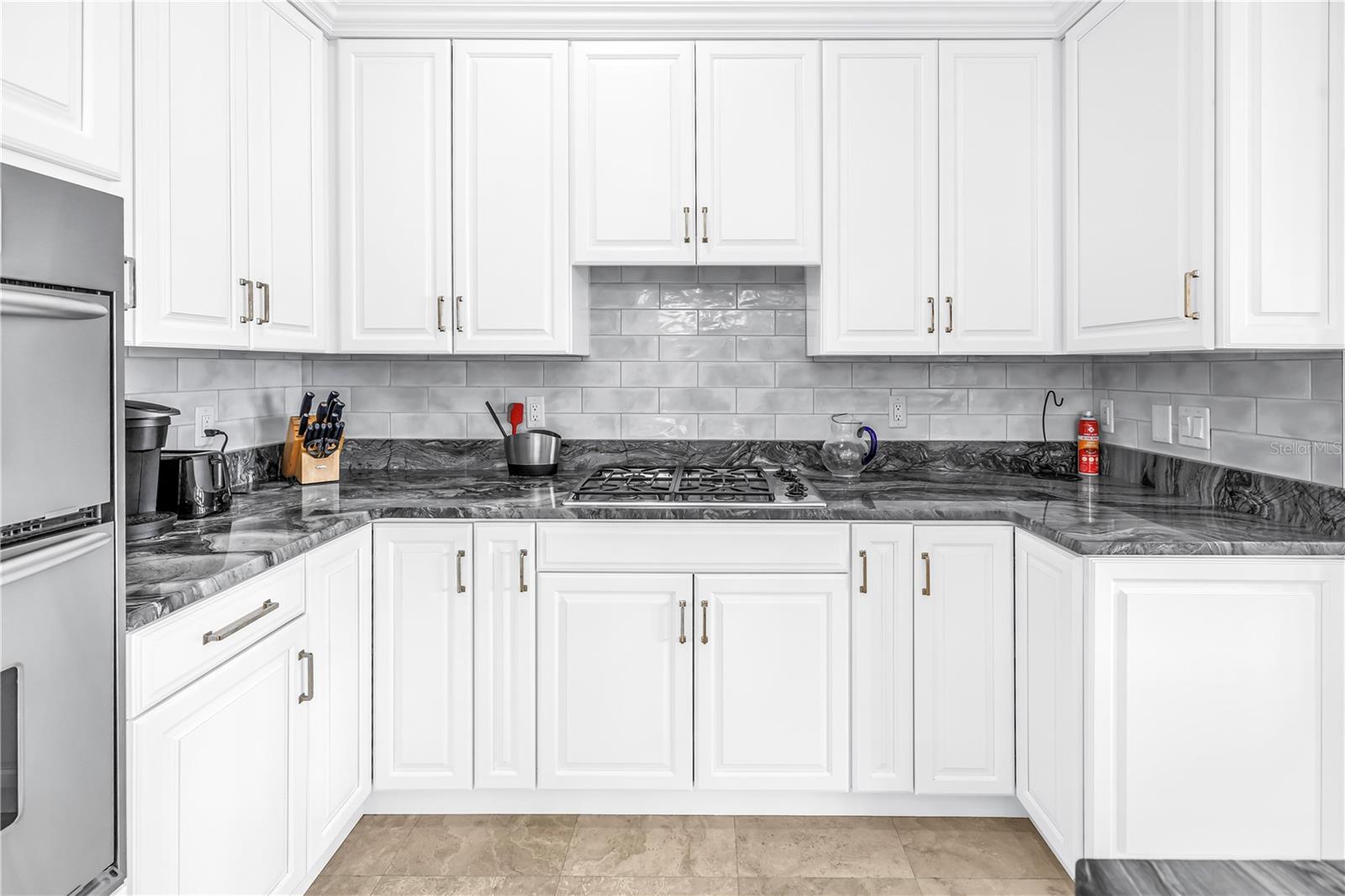 1133 ABBEYS WAY, TAMPA, FL, 33602