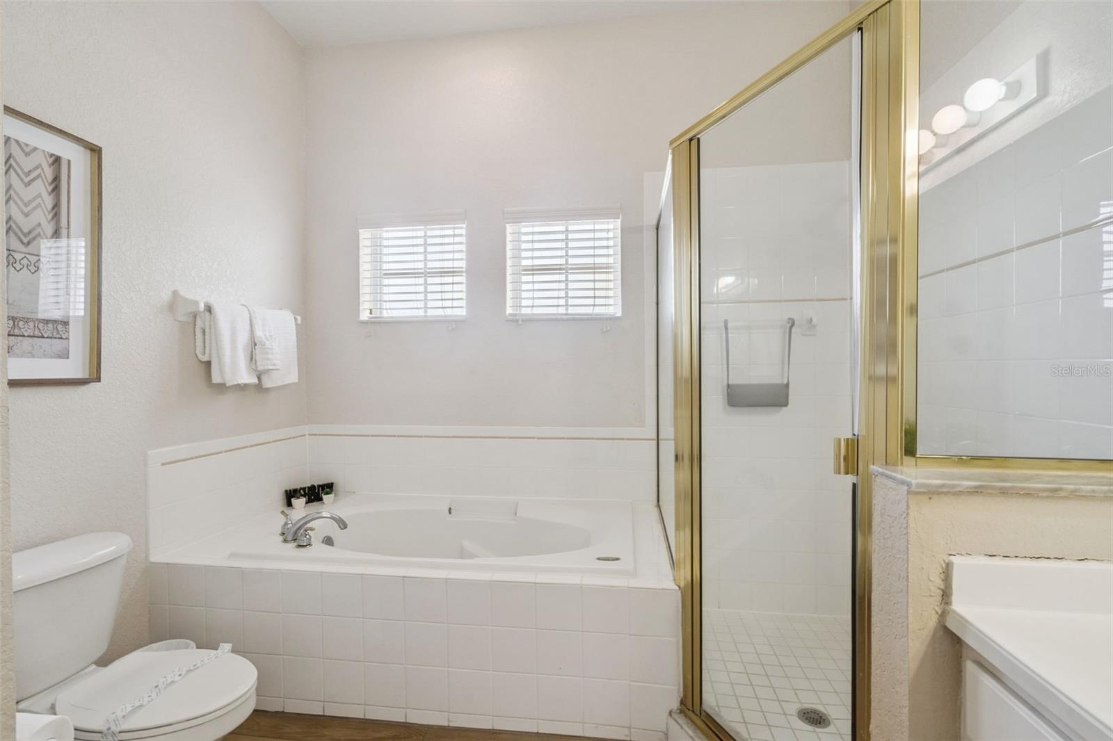 313 LUCAYA LOOP, DAVENPORT, FL, 33897