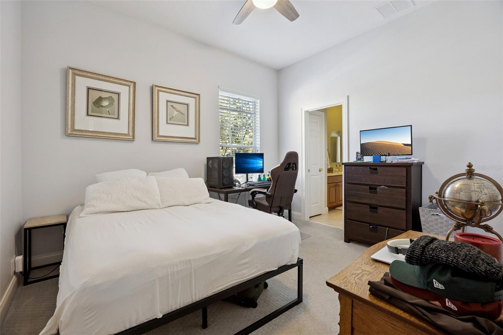 11917 CAMDEN PARK DR, WINDERMERE, FL, 34786