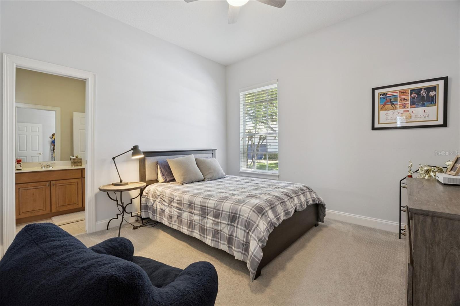 11917 CAMDEN PARK DR, WINDERMERE, FL, 34786