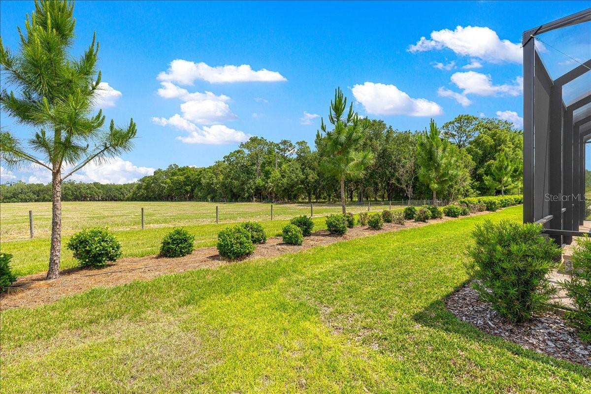 5231 SW 88TH CIR, OCALA, FL, 34481