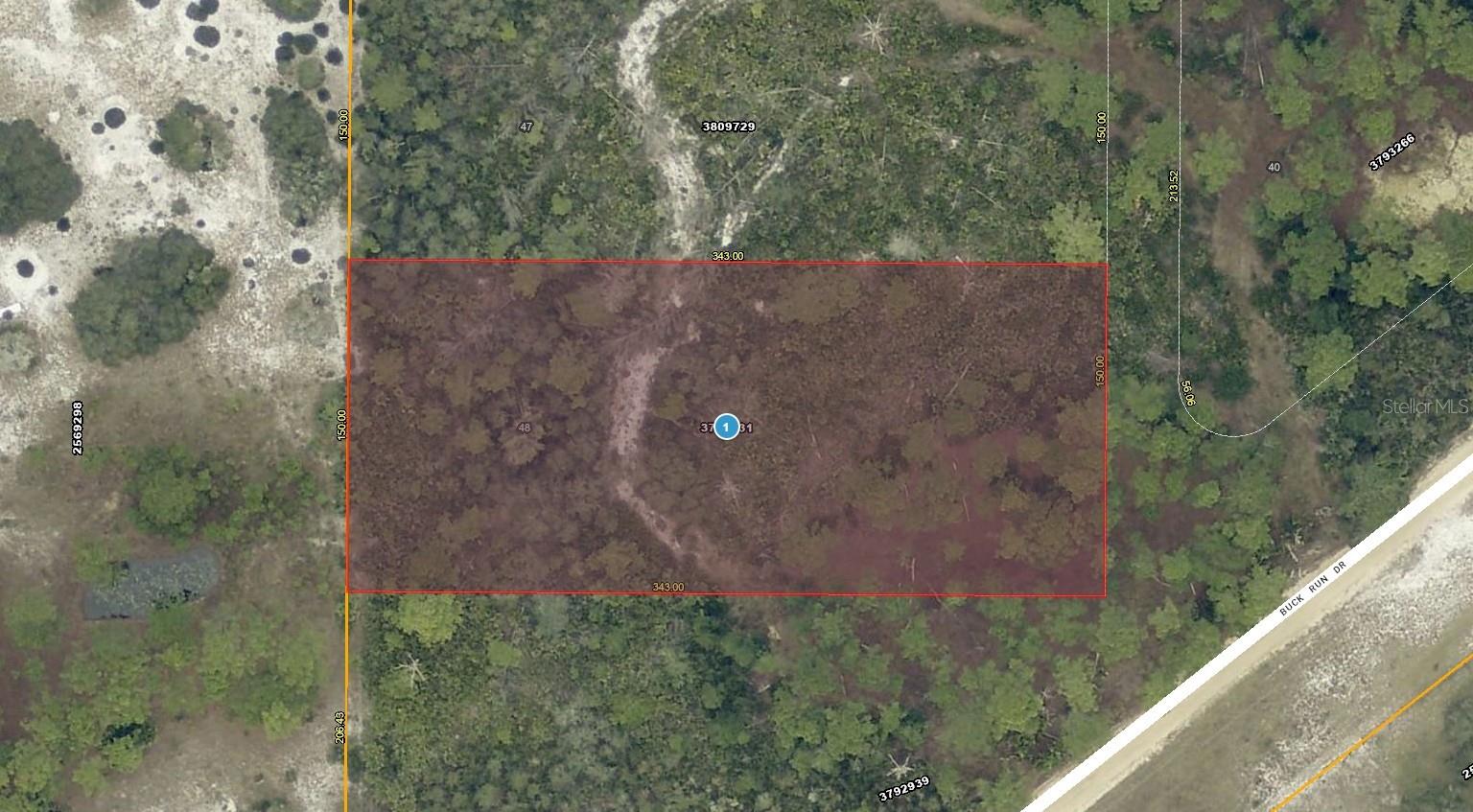 28-17-28-0004-000-03100 BUCK RUN DR, PAISLEY, FL, 32767