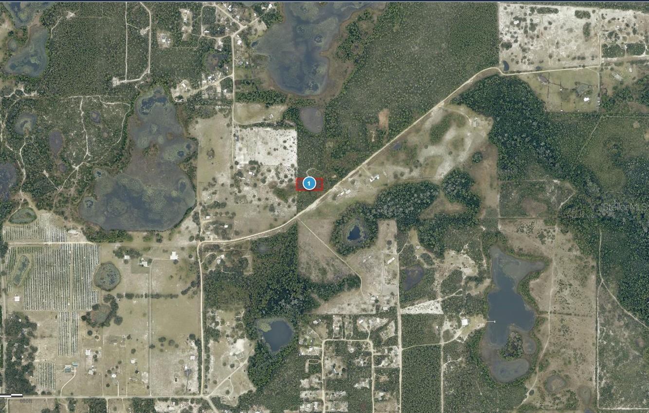 28-17-28-0004-000-03100 BUCK RUN DR, PAISLEY, FL, 32767