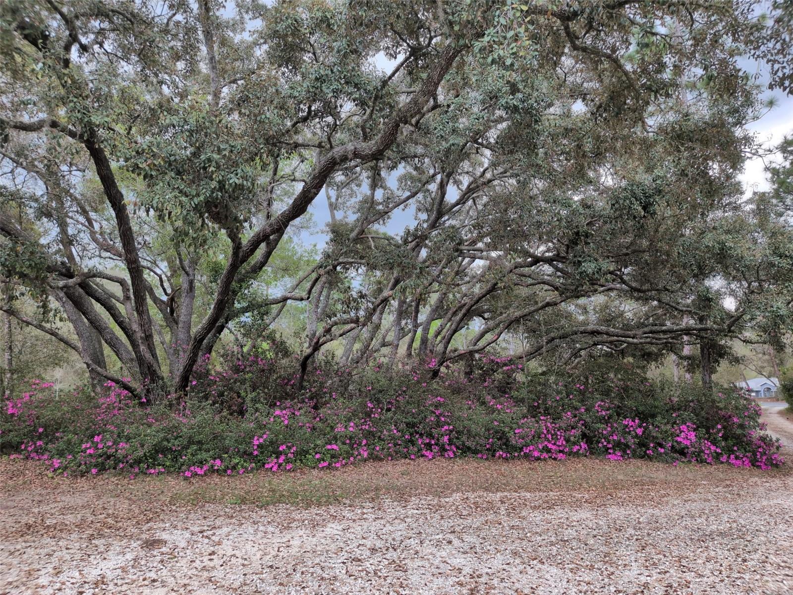 2933 E QUAIL CT, INVERNESS, FL, 34452