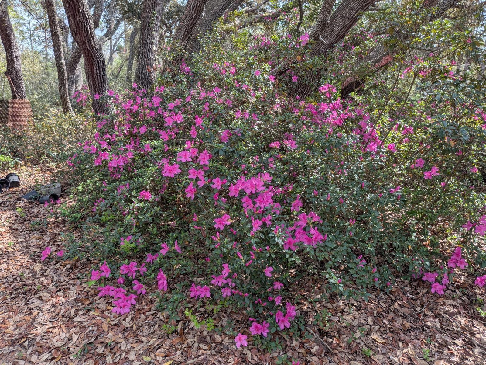 2933 E QUAIL CT, INVERNESS, FL, 34452