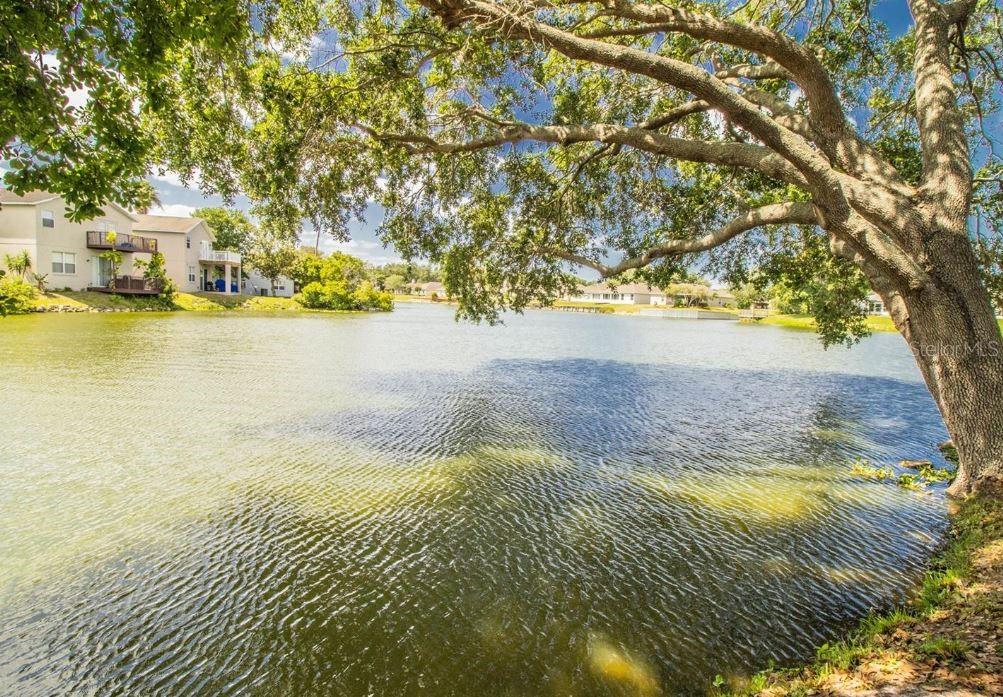 2010 HATTERAS PT, LAKELAND, FL, 33813