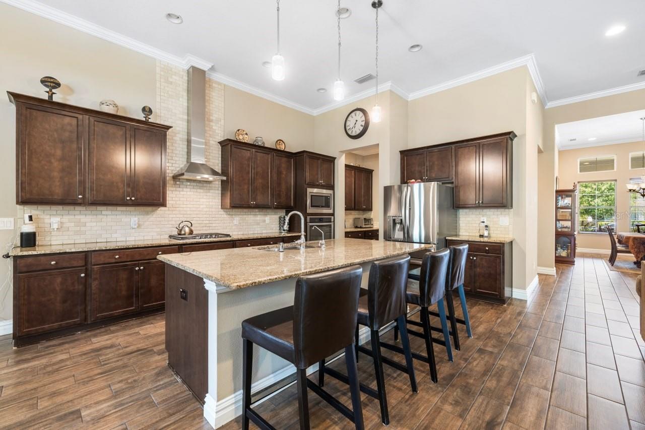 16726 COURTYARD LOOP, LAND O LAKES, FL, 34638