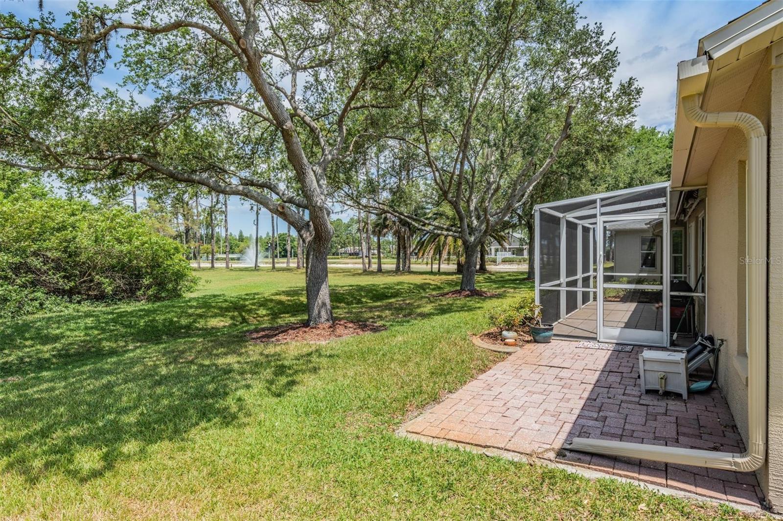 1237 ALMONDWOOD DR, TRINITY, FL, 34655