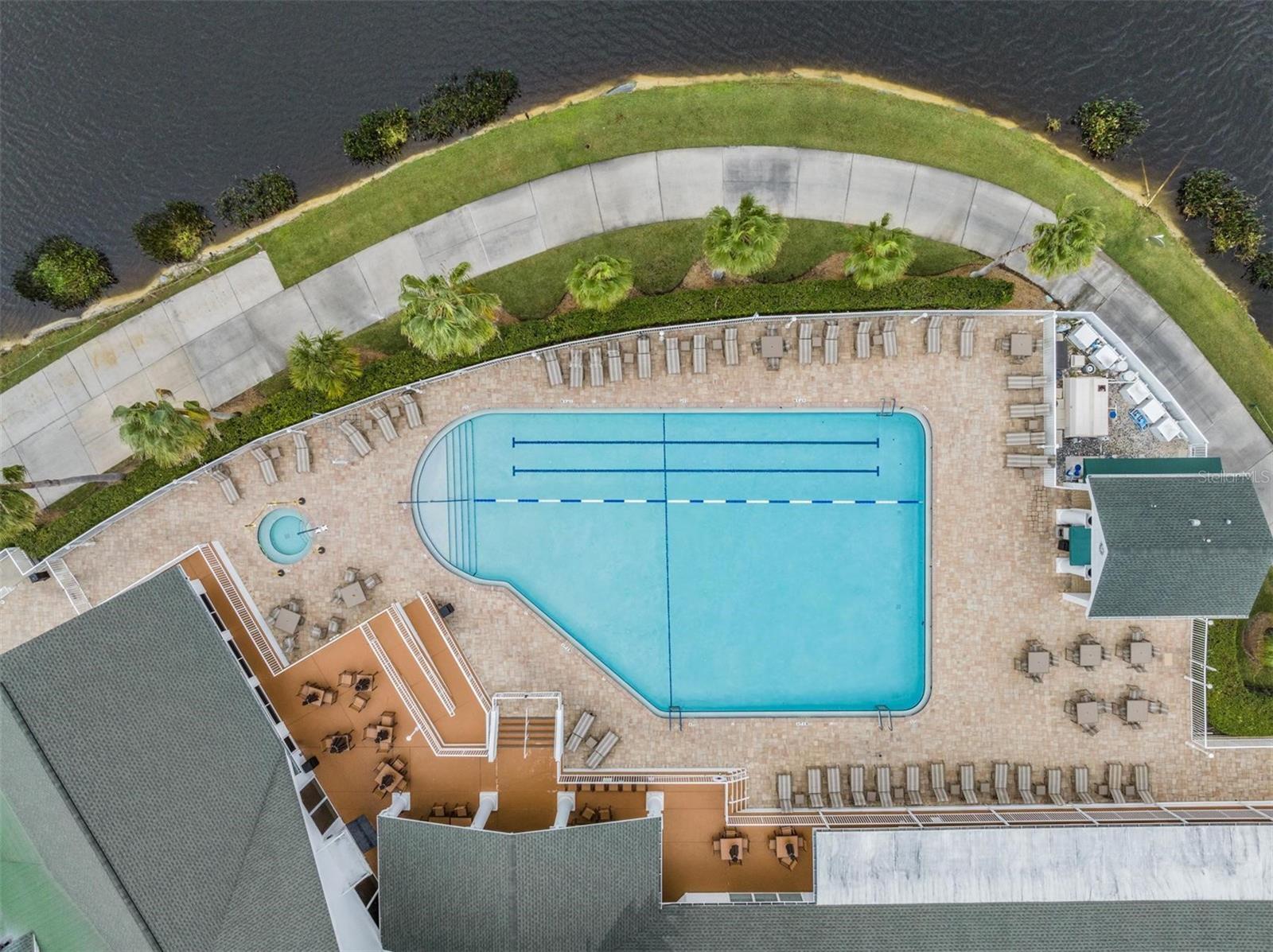 1237 ALMONDWOOD DR, TRINITY, FL, 34655