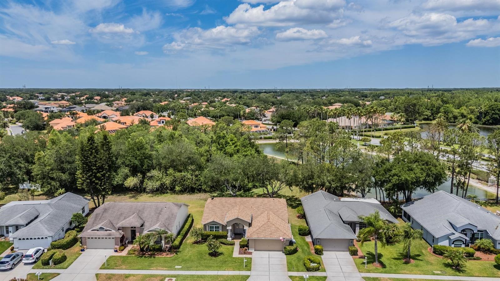 1237 ALMONDWOOD DR, TRINITY, FL, 34655