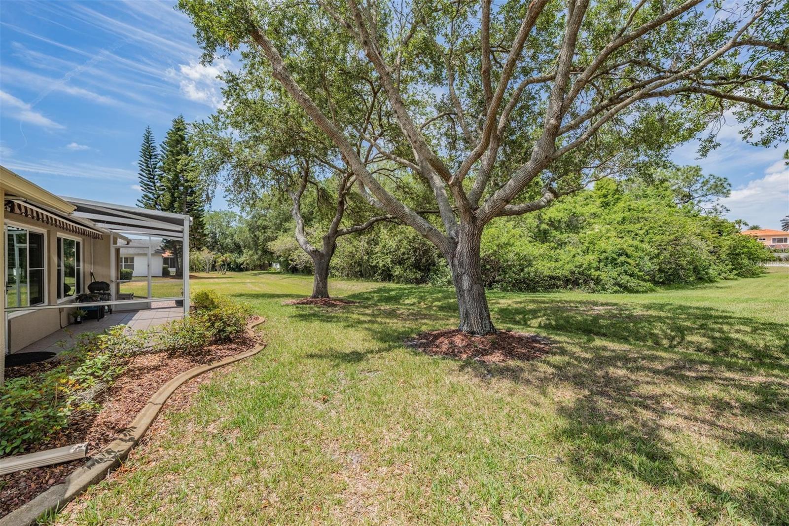 1237 ALMONDWOOD DR, TRINITY, FL, 34655