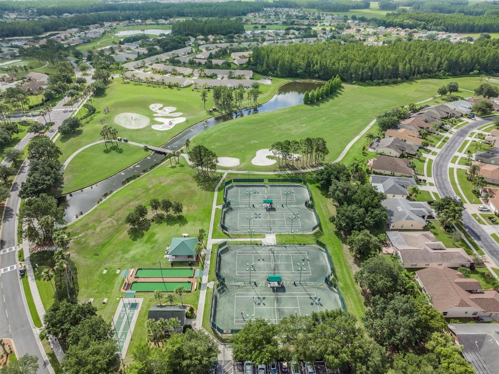 1237 ALMONDWOOD DR, TRINITY, FL, 34655