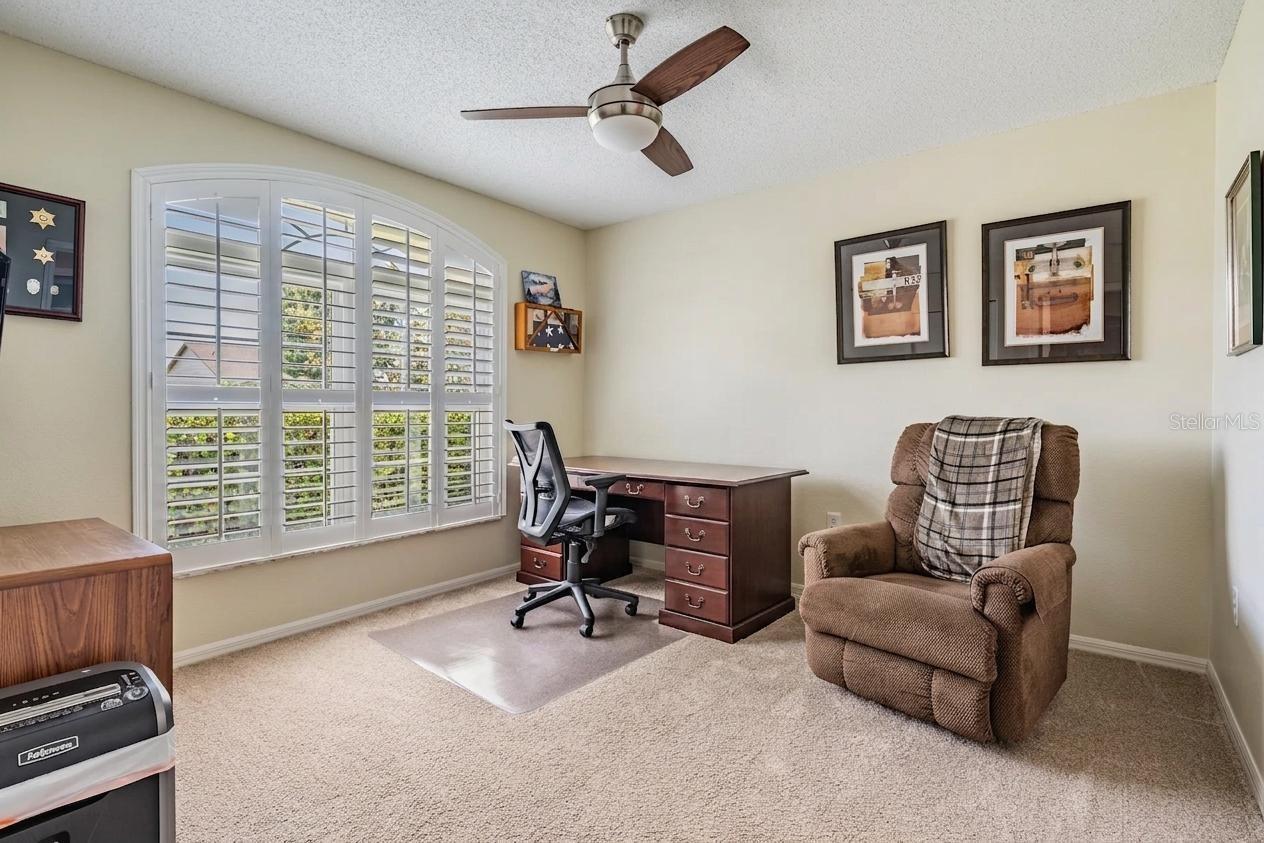 1237 ALMONDWOOD DR, TRINITY, FL, 34655