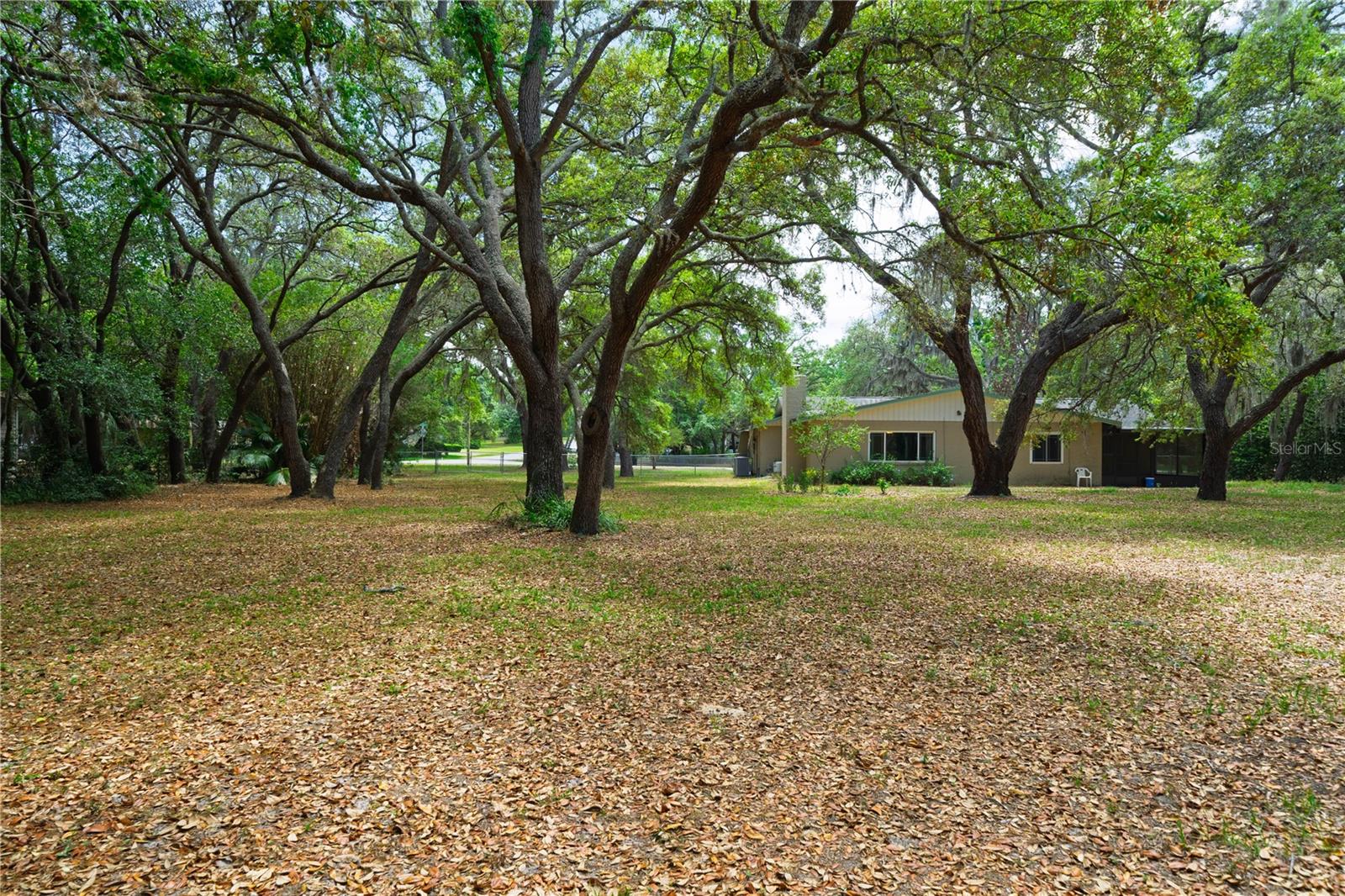 12615 OAK TREE DR, HUDSON, FL, 34667