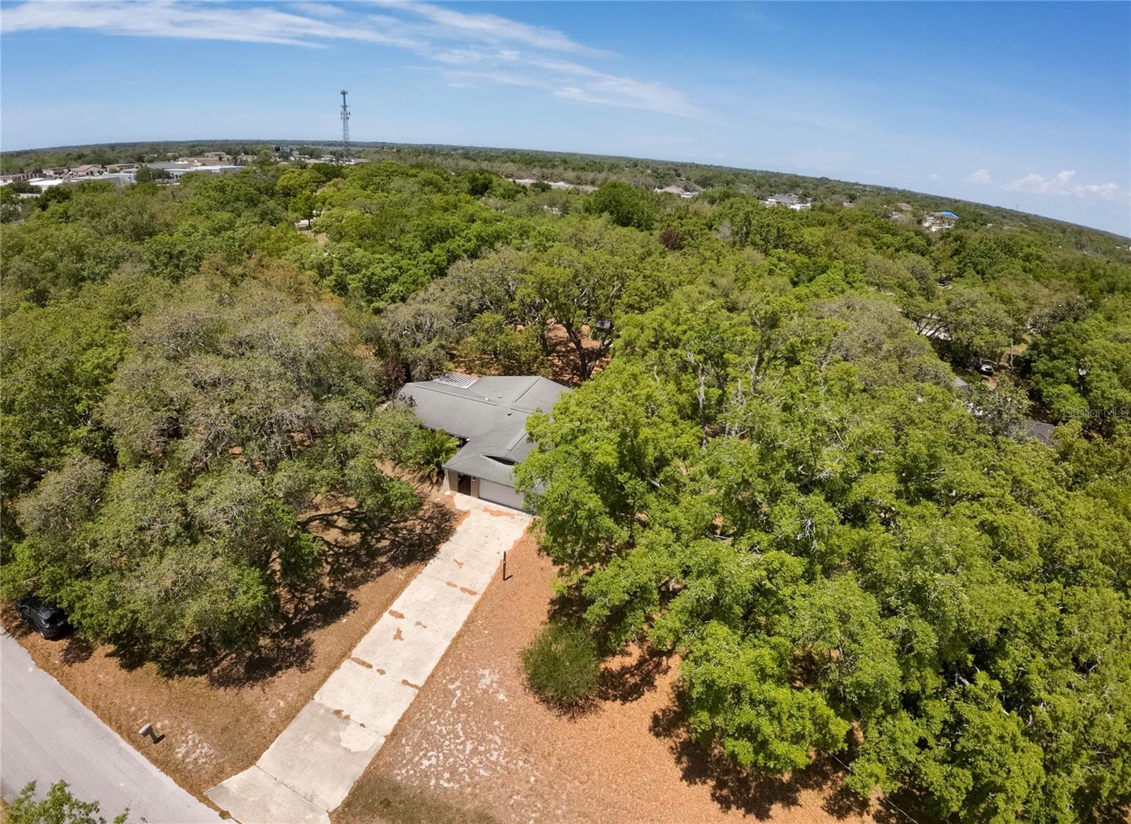 12615 OAK TREE DR, HUDSON, FL, 34667