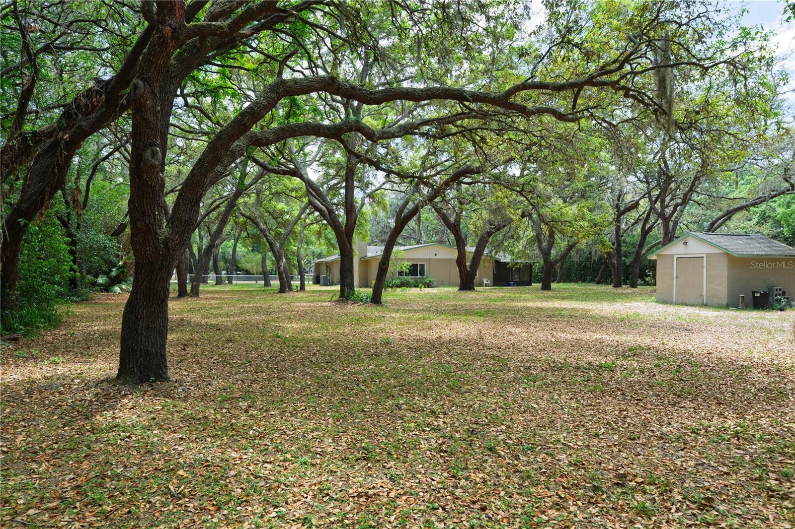 12615 OAK TREE DR, HUDSON, FL, 34667