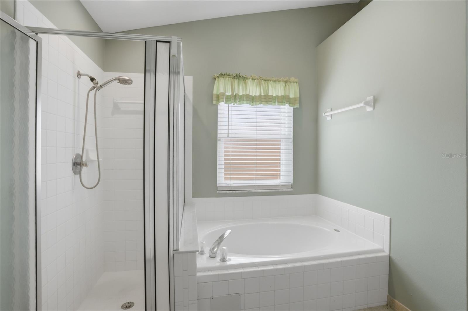 204 GREENWICH ST, DAVENPORT, FL, 33896