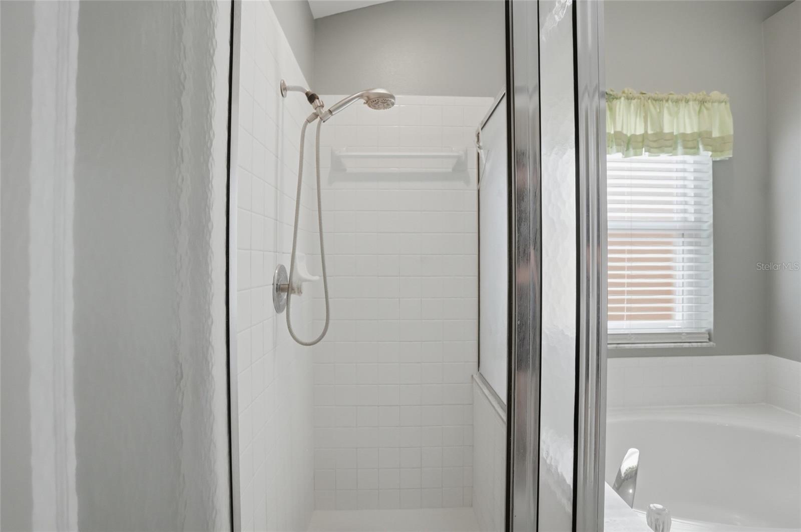 204 GREENWICH ST, DAVENPORT, FL, 33896