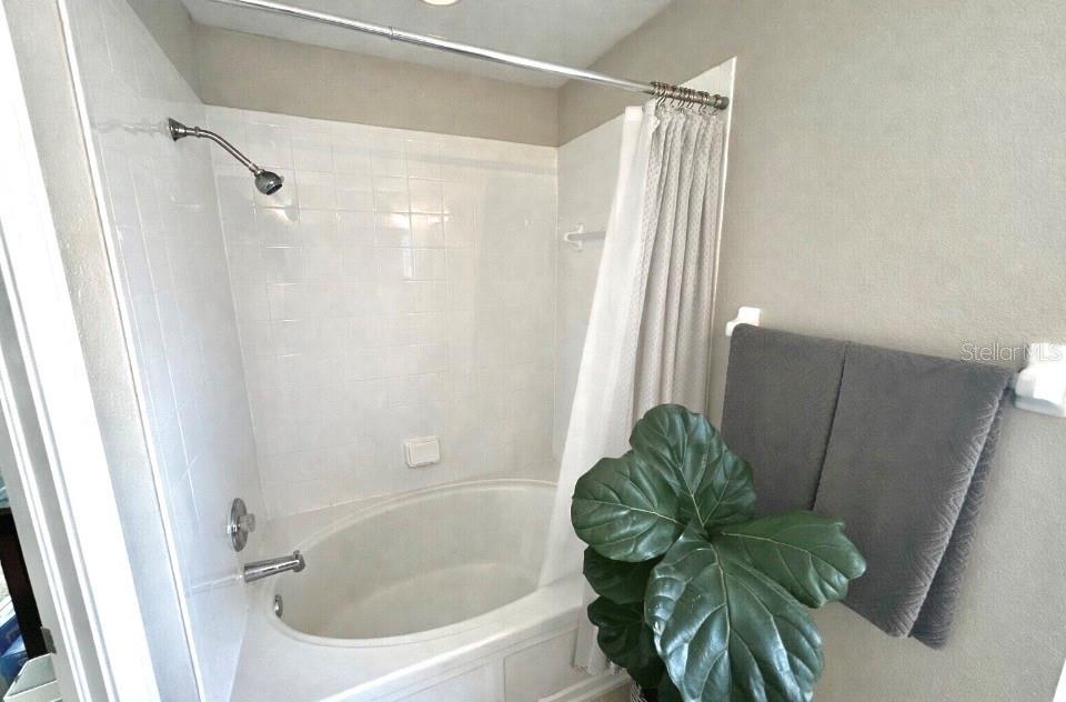 8488 SANDY BEACH ST, TAMPA, FL, 33634