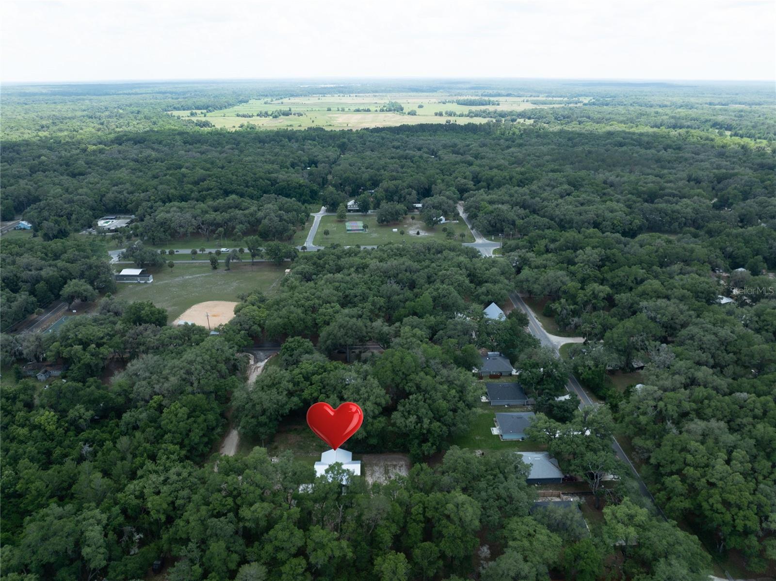 207 N PALMETTO AVE, FLORAHOME, FL, 32140