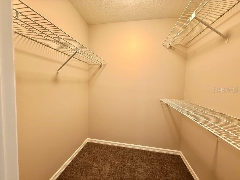 6804 LAKE VIEW DR, YALAHA, FL, 34797