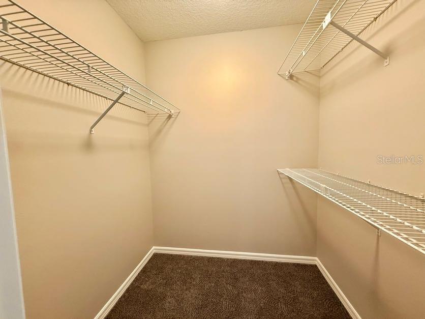 6804 LAKE VIEW DR, YALAHA, FL, 34797