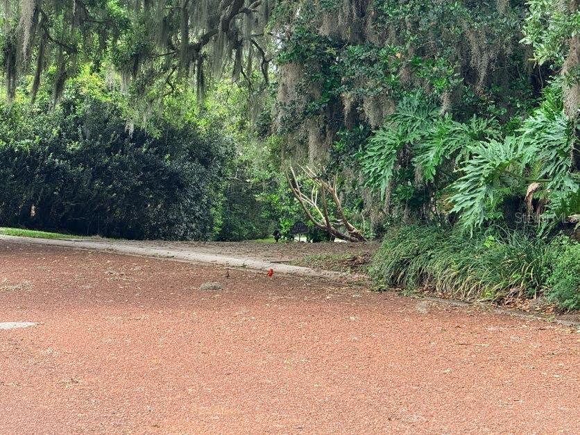 6804 LAKE VIEW DR, YALAHA, FL, 34797