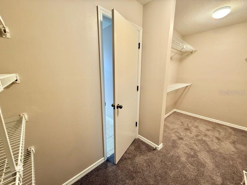 6804 LAKE VIEW DR, YALAHA, FL, 34797