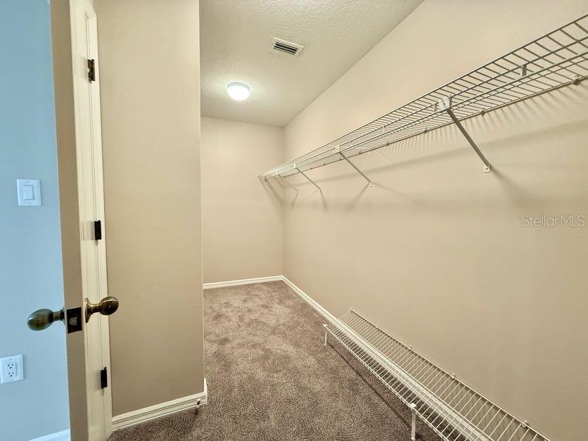 6804 LAKE VIEW DR, YALAHA, FL, 34797