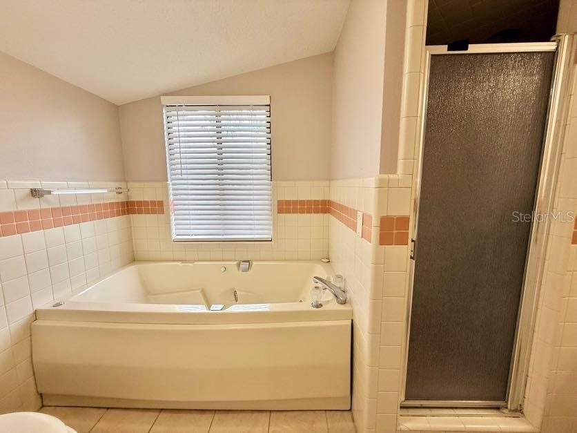 6804 LAKE VIEW DR, YALAHA, FL, 34797