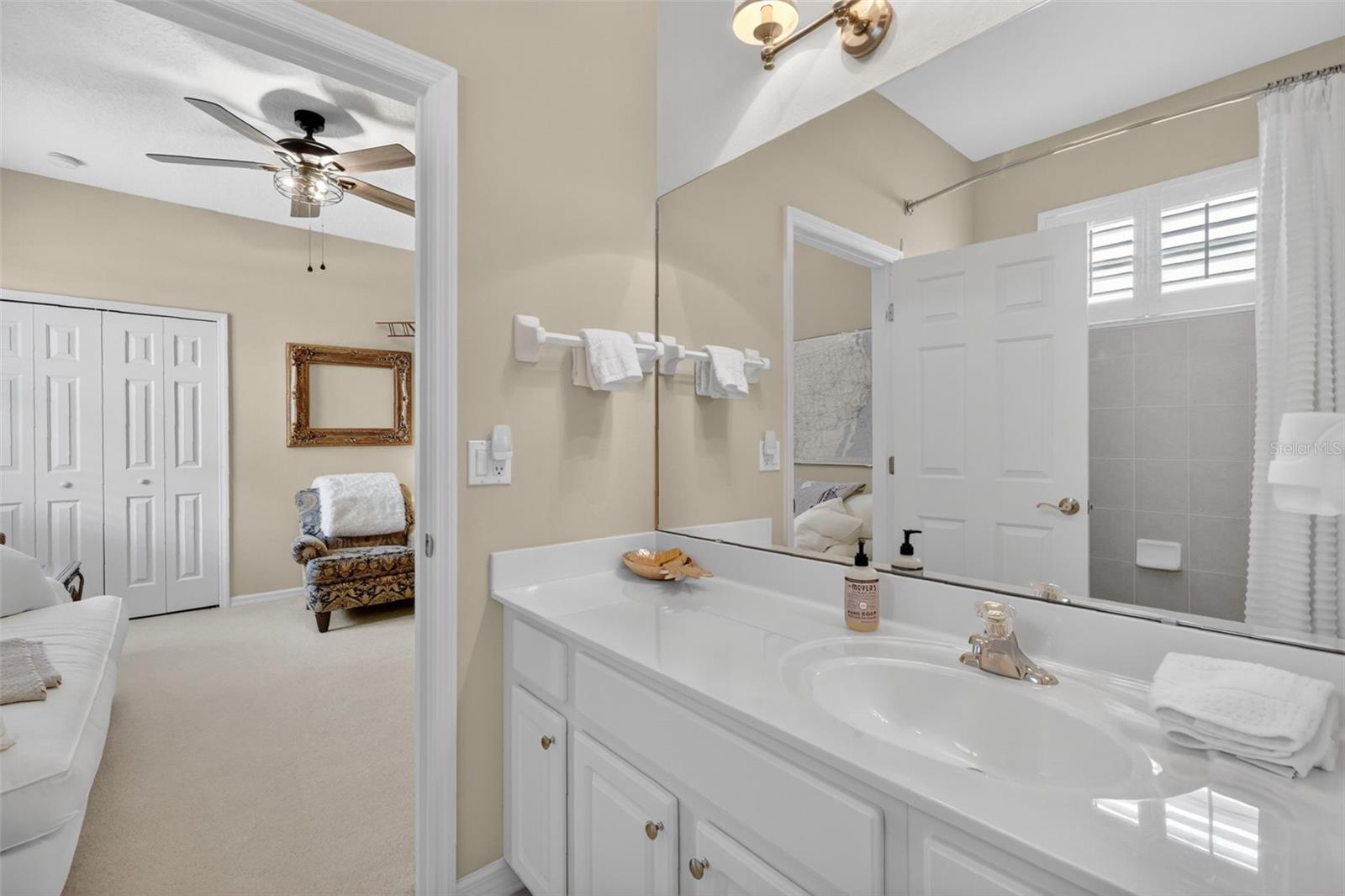 9096 LAUREL RIDGE DRIVE, MOUNT DORA, FL, 32757