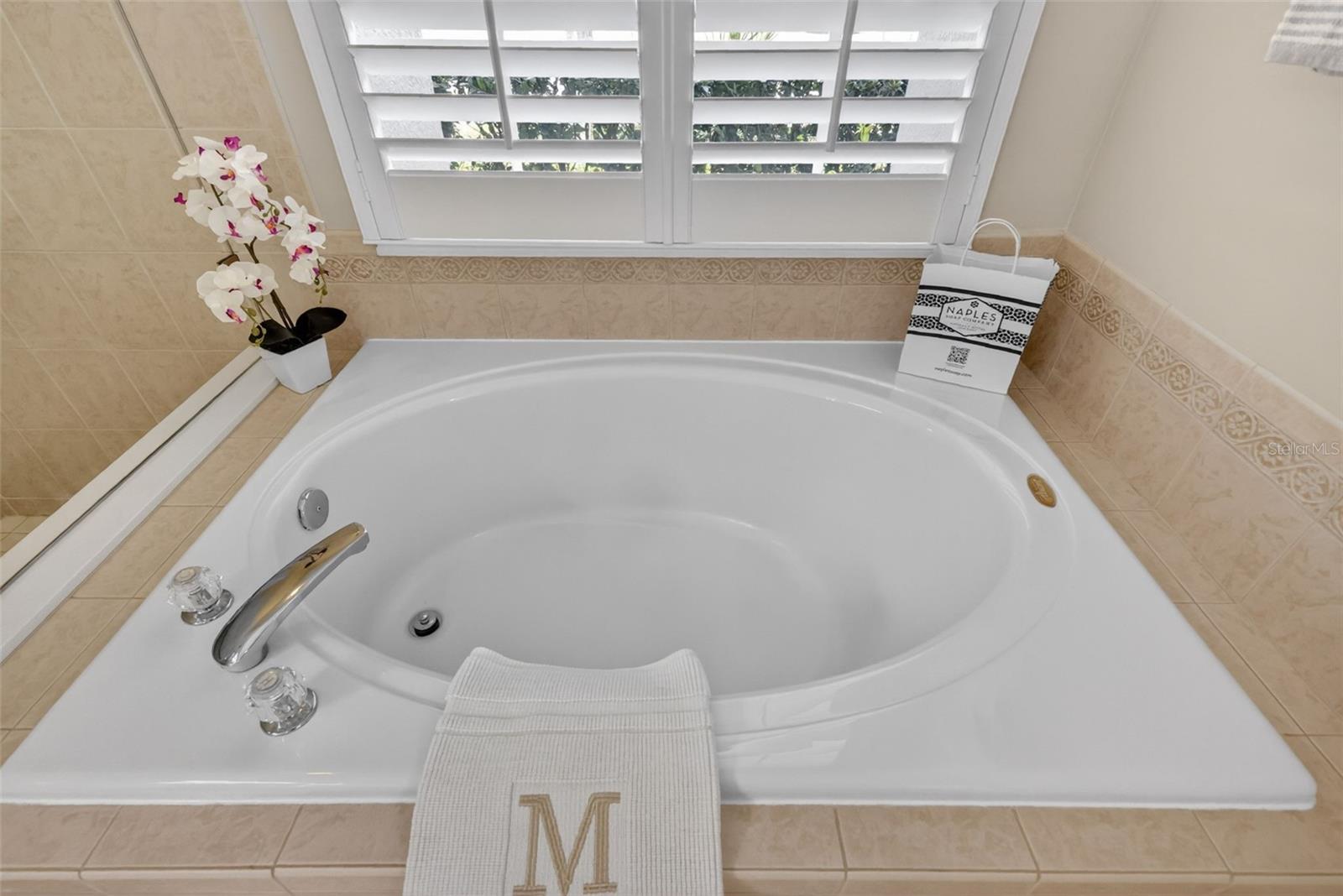 9096 LAUREL RIDGE DRIVE, MOUNT DORA, FL, 32757