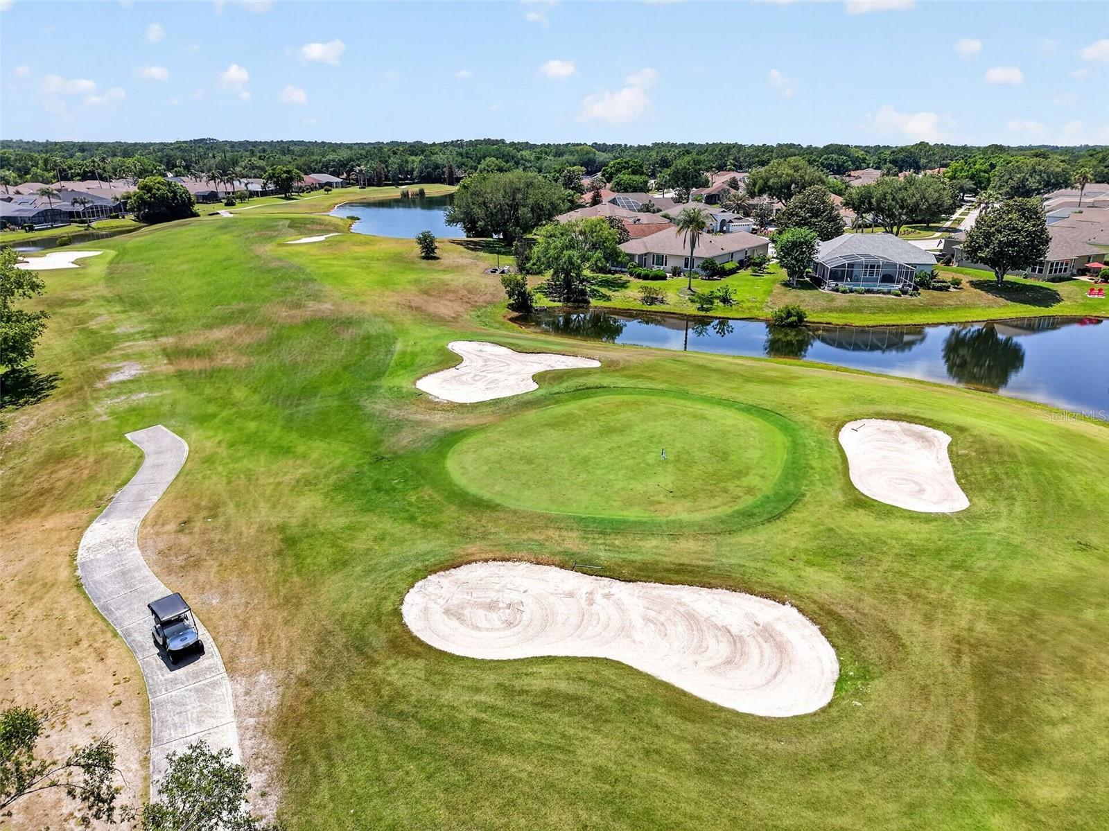 9096 LAUREL RIDGE DRIVE, MOUNT DORA, FL, 32757