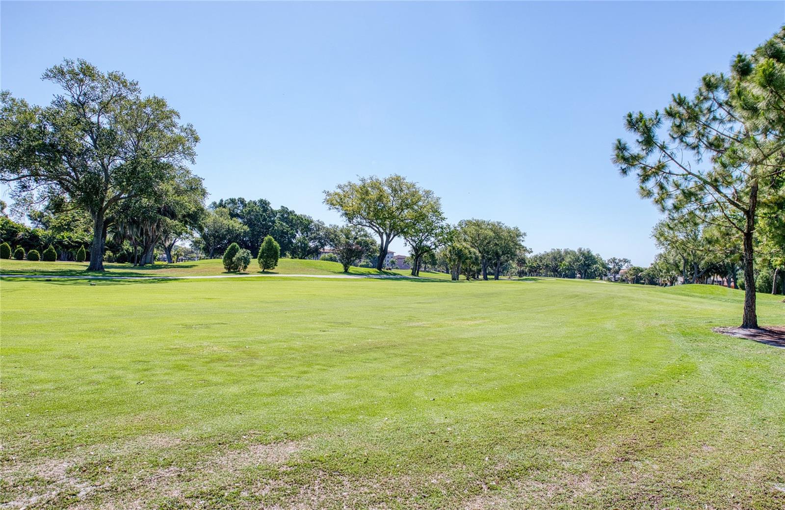 6305 PELICAN CREEK XING #D, ST PETERSBURG, FL, 33707
