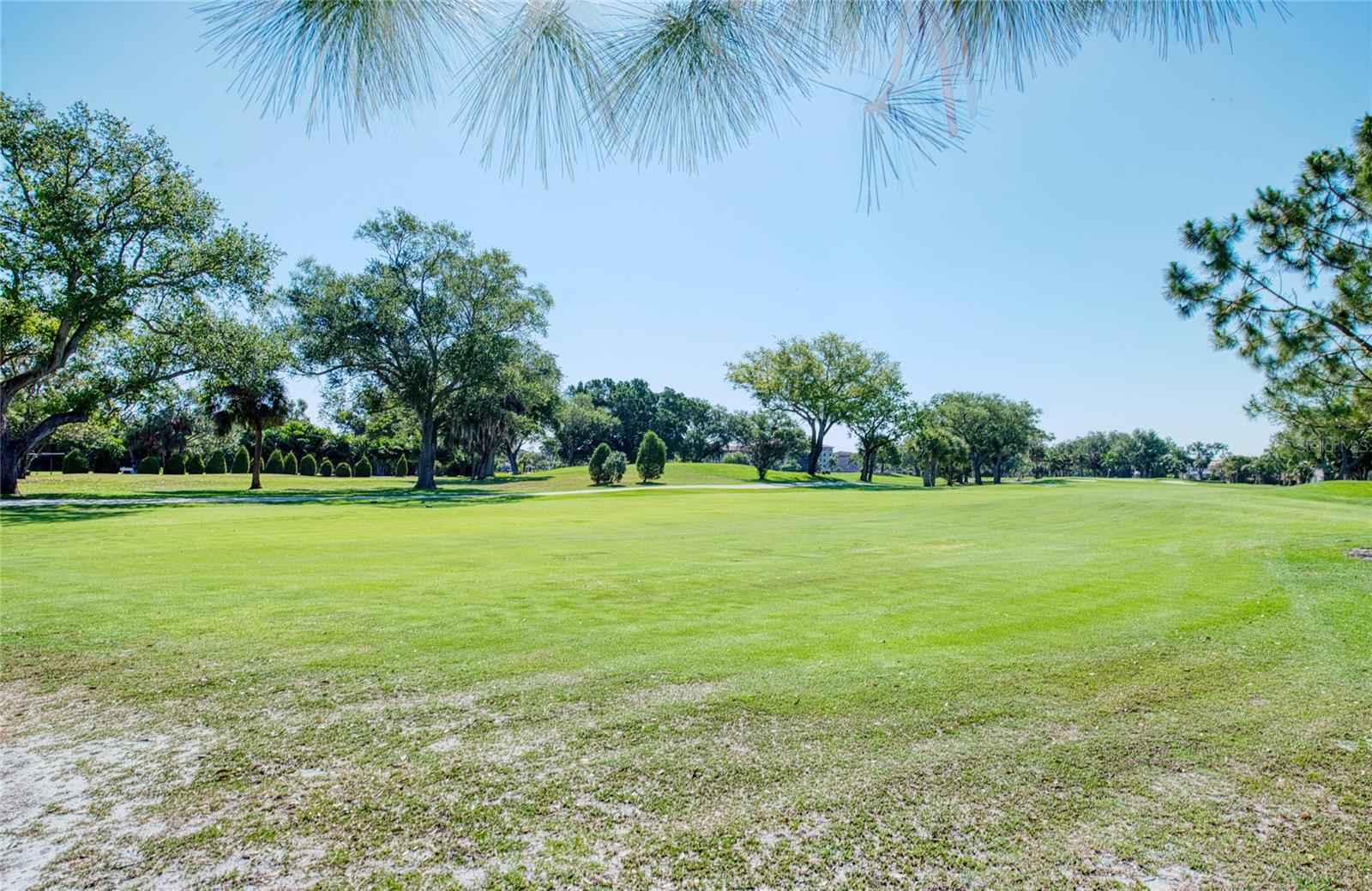 6305 PELICAN CREEK XING #D, ST PETERSBURG, FL, 33707