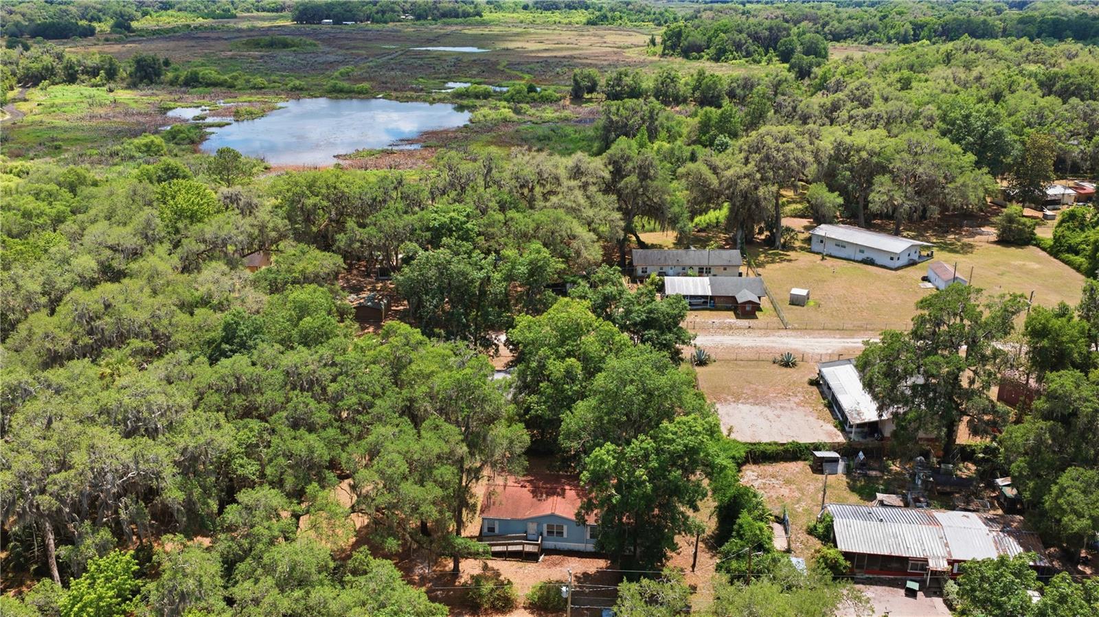 3290 NE 161ST ST, CITRA, FL, 32113