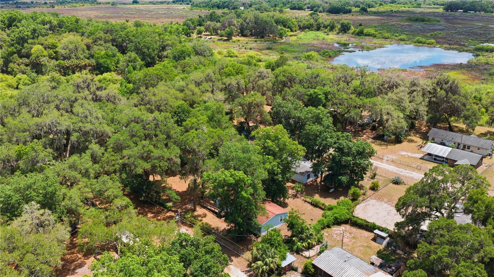 3290 NE 161ST ST, CITRA, FL, 32113