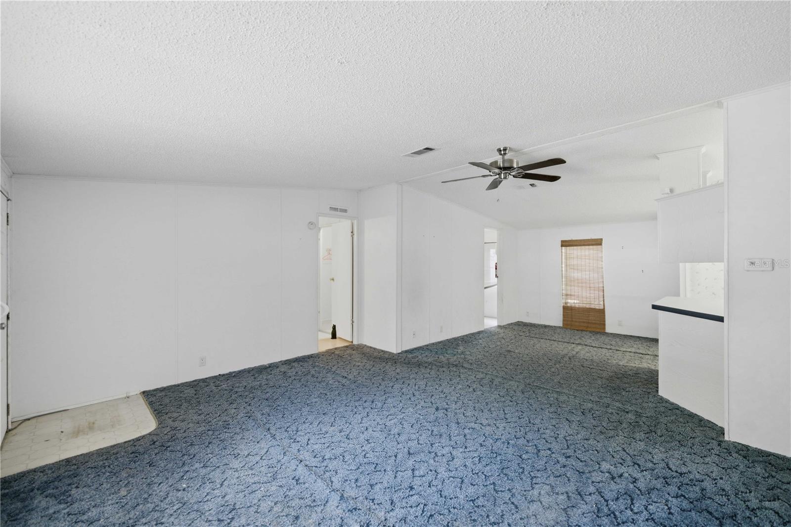 3290 NE 161ST ST, CITRA, FL, 32113