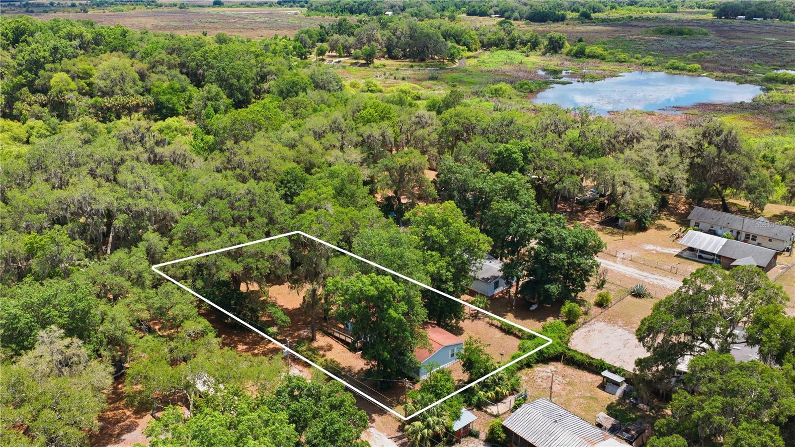 3290 NE 161ST ST, CITRA, FL, 32113