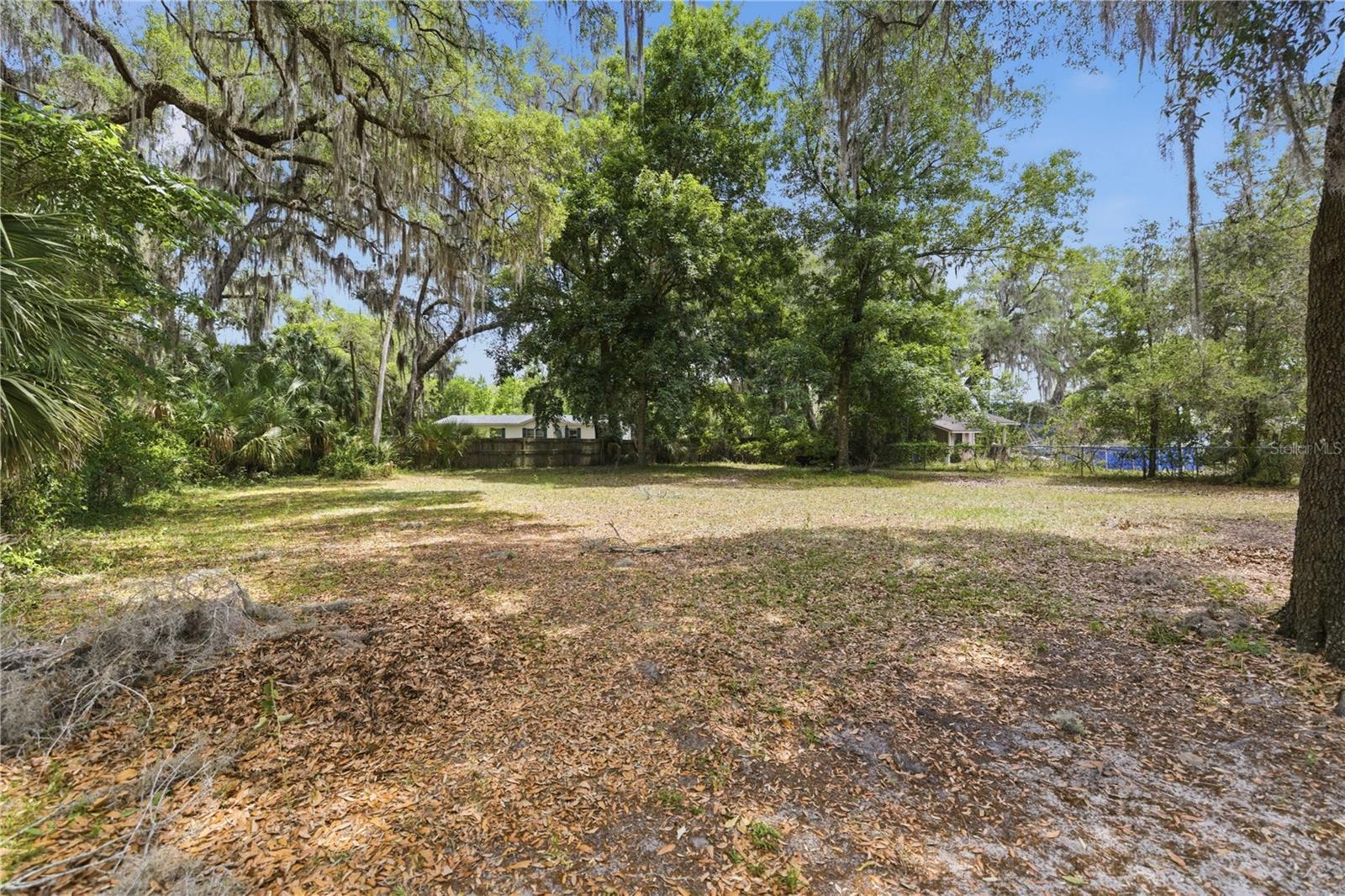 3290 NE 161ST ST, CITRA, FL, 32113