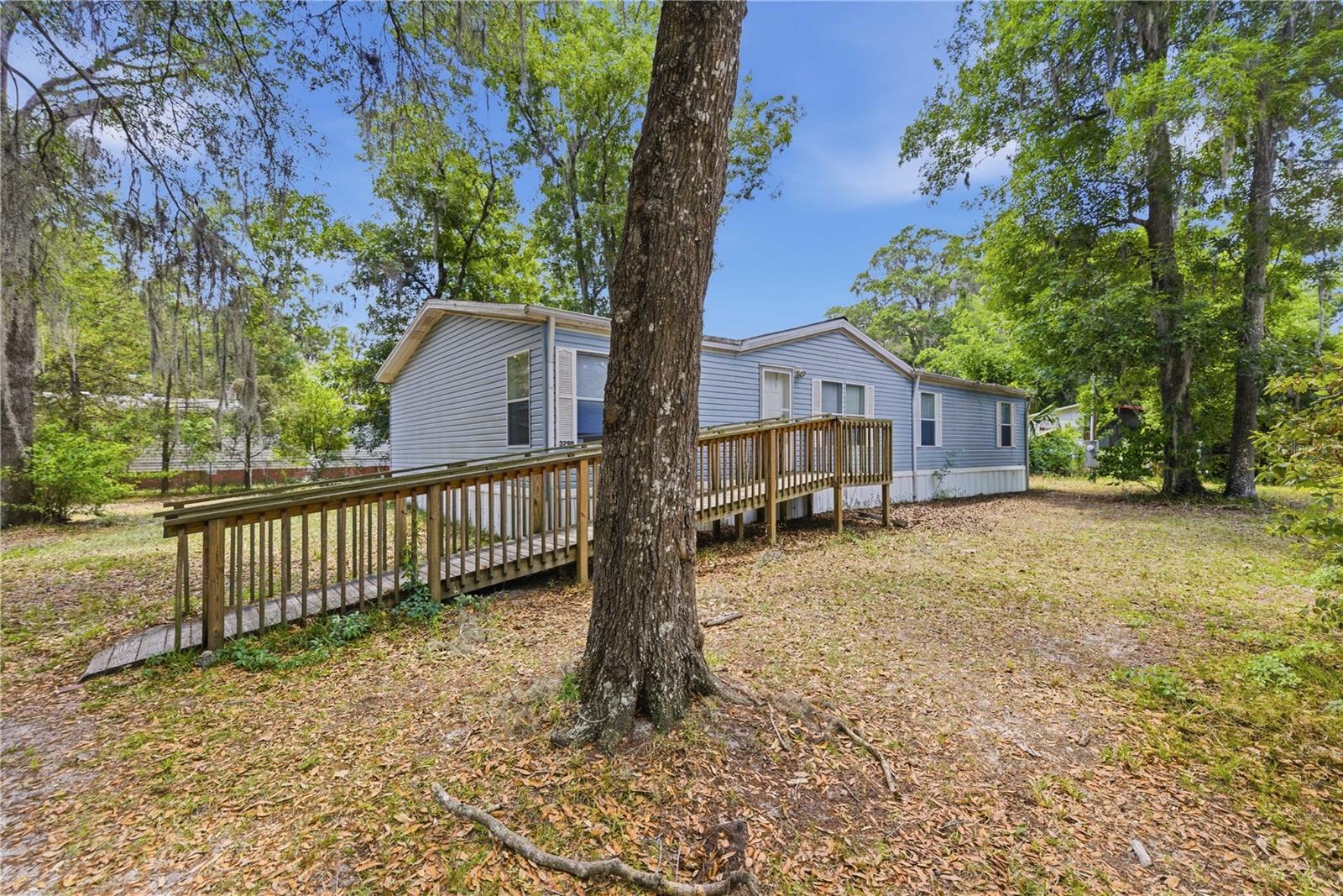 3290 NE 161ST ST, CITRA, FL, 32113