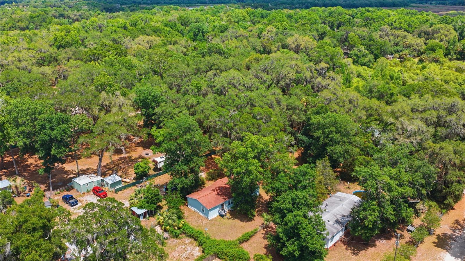 3290 NE 161ST ST, CITRA, FL, 32113