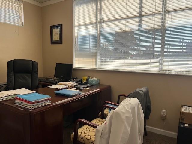 101 CLEARWATER LARGO RD N, LARGO, FL, 33770