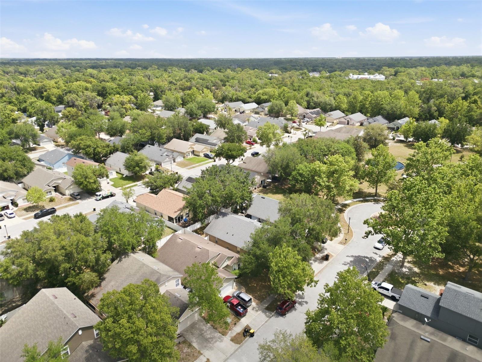 553 MAIDENHAIR CT, ORANGE CITY, FL, 32763