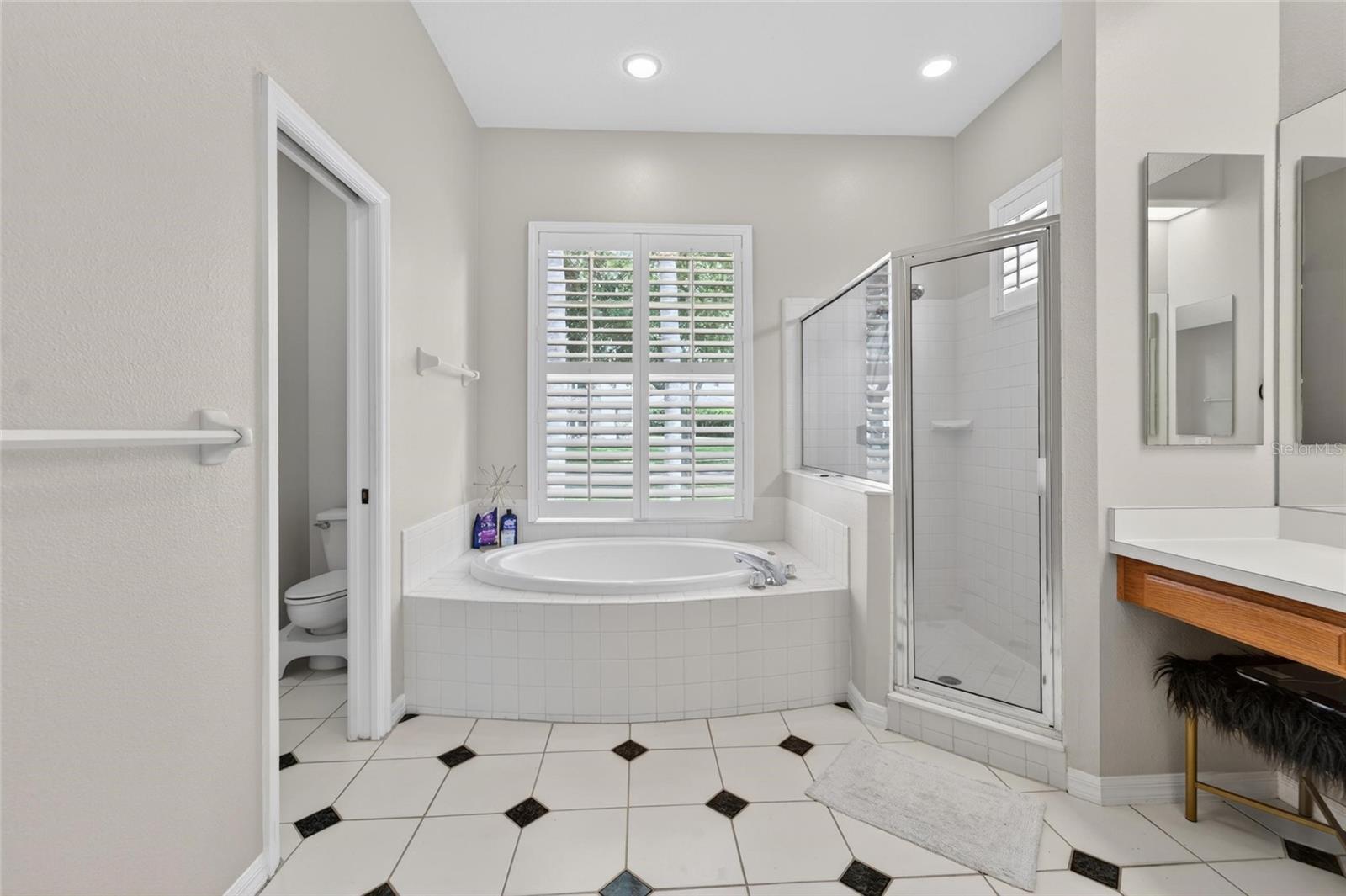 5218 TWIN CREEKS DRIVE, VALRICO, FL, 33596