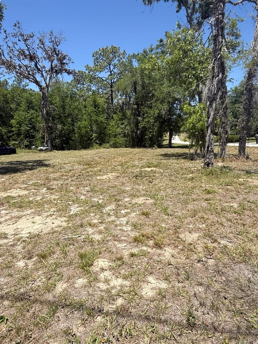 TBD NE 152 TER, WILLISTON, FL, 32696
